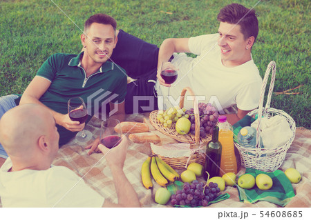 Males friends enjoying picnic Males friends enjoying picnic 54608685