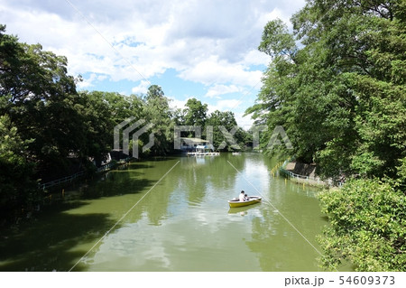 武蔵関公園 (東京 練馬区関町北・西東京市) 武蔵関公園 (東京 練馬区関町北・西東京市) 54609373