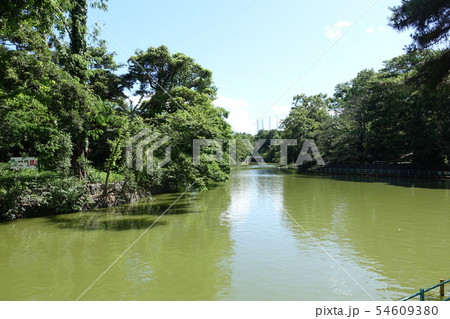 武蔵関公園 (東京 練馬区・西東京市) 武蔵関公園 (東京 練馬区・西東京市) 54609380