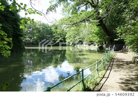 武蔵関公園 (東京 練馬区・西東京市) 54609392