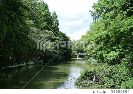 武蔵関公園 (東京 練馬区・西東京市) 54609394