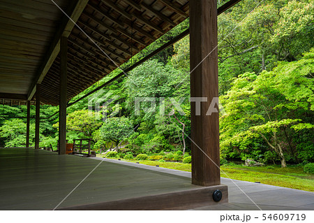 京都　南禅寺　南禅院の新緑 54609719