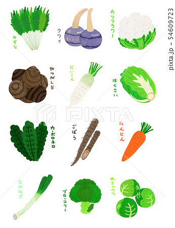 冬野菜 Winter Vegetablesのイラスト素材
