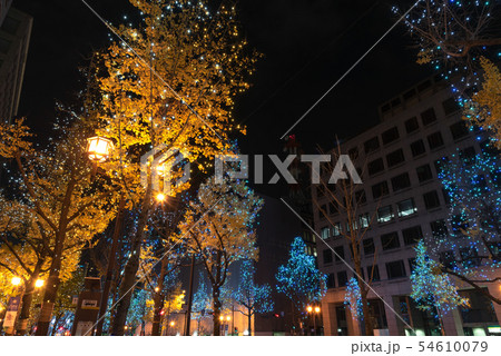 大阪　冬　御堂筋　イルミネーション　光　ルネサンス 54610079