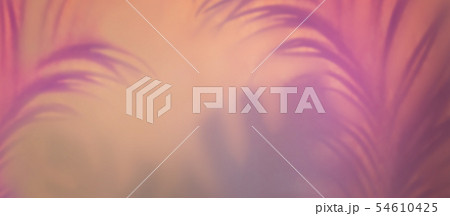 Palm leaf shadows in pastel backlight. Abstract Palm leaf shadows in pastel backlight. Abstract 54610425