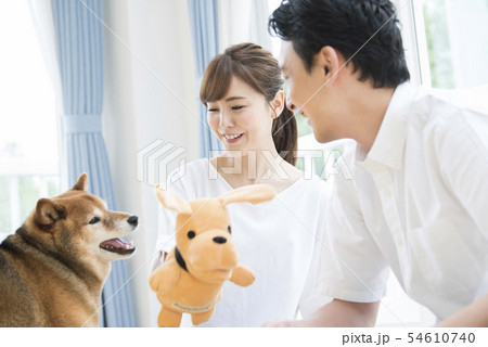 犬と遊ぶ夫婦の写真素材