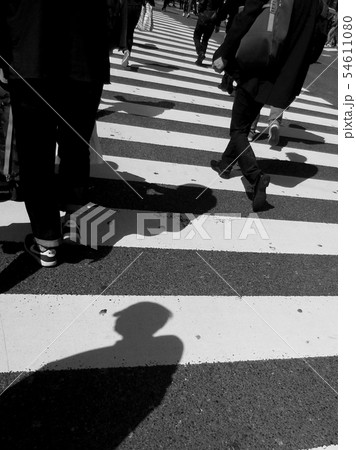 横断歩道 54611080