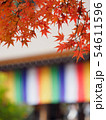 京都　二尊院の紅葉 54611596