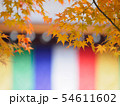 京都　二尊院の紅葉 54611602