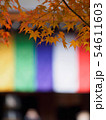 京都　二尊院の紅葉 54611603
