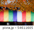 京都　二尊院の紅葉 54611605