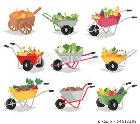 Vegetables In Wheelbarrow Healthy Nutrition Of のイラスト素材