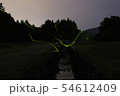 ホタル 54612409