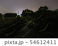 ホタル 54612411