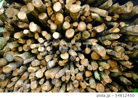Wooden Logs Wooden Logs 54612450