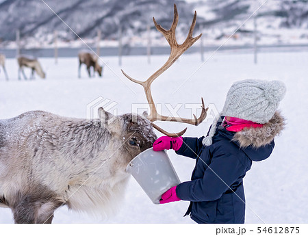 Little girl feeding reindeer in winter 54612875