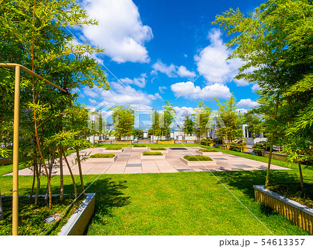 JR京都駅の屋上庭園 JR京都駅の屋上庭園 54613357