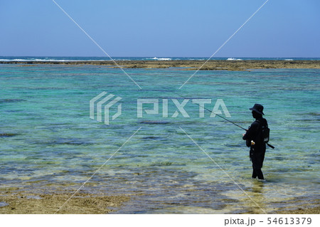 美し海での釣り風景 54613379