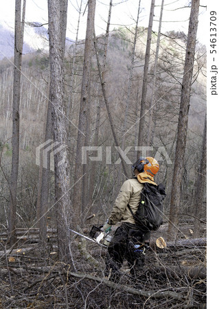 木こり 木こり 54613709