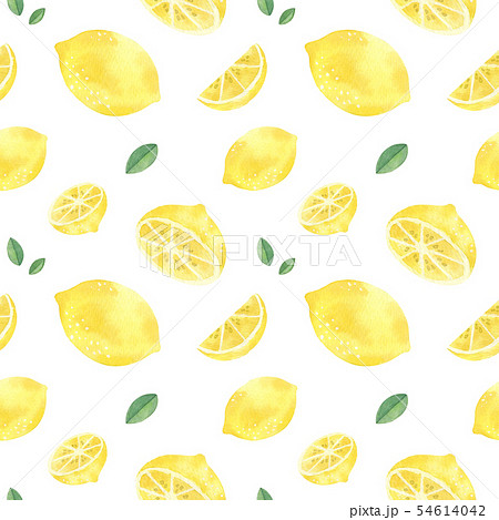 Lemon Handdrawn Seamless Patternのイラスト素材