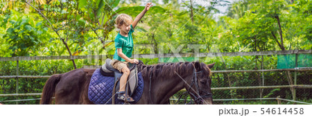 Boy horseback riding, performing exercises on horseback BANNER, LONG FORMAT Boy horseback riding, performing exercises on horseback BANNER, LONG FORMAT 54614458