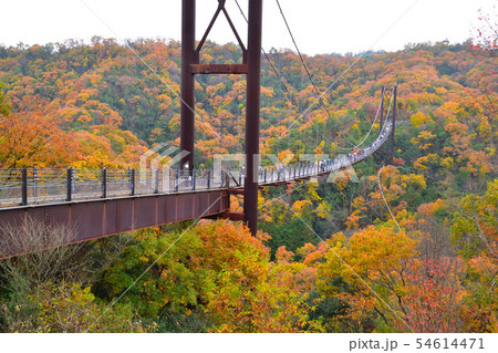 秋 星のブランコ 秋 星のブランコ 54614471