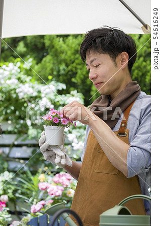 花がら摘みをする若い男性　ガーデニングイメージ 54616249