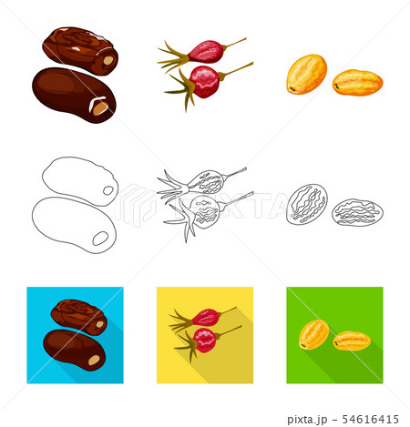 Isolated object of food and raw logo. Set of food and nature stock vector illustration. Isolated object of food and raw logo. Set of food and nature stock vector illustration. 54616415