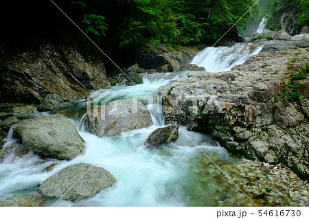 雨の前鬼川（奈良県吉野郡下北山村） 54616730