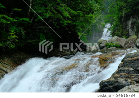 雨の前鬼川（奈良県吉野郡下北山村） 54616734