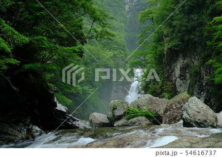 雨の前鬼川（奈良県吉野郡下北山村） 54616737