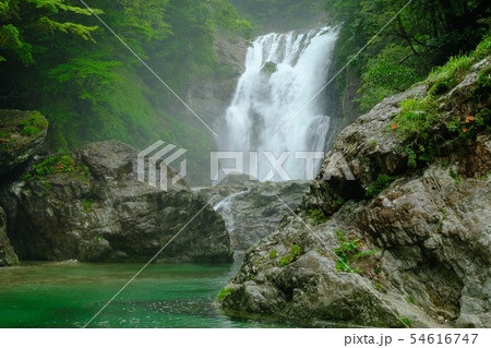 雨の前鬼川(奈良県吉野郡下北山村) 雨の前鬼川(奈良県吉野郡下北山村) 54616747