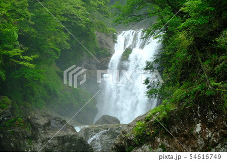 雨の前鬼川（奈良県吉野郡下北山村） 54616749