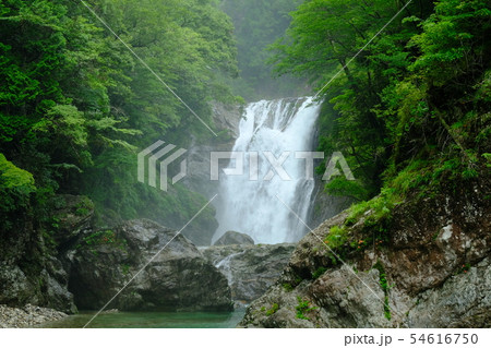 雨の前鬼川(奈良県吉野郡下北山村) 雨の前鬼川(奈良県吉野郡下北山村) 54616750