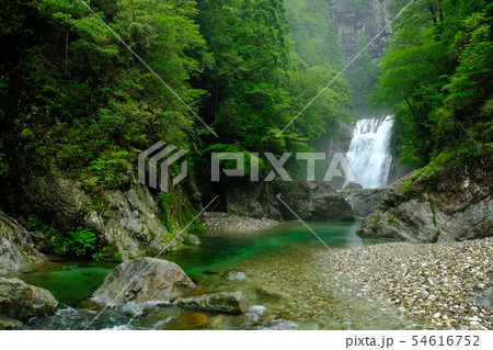 雨の前鬼川（奈良県吉野郡下北山村） 54616752