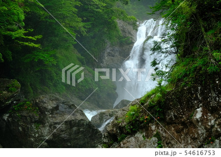 雨の前鬼川(奈良県吉野郡下北山村) 雨の前鬼川(奈良県吉野郡下北山村) 54616753