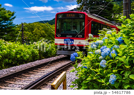 (神奈川県)箱根登山鉄道 あじさい電車 (神奈川県)箱根登山鉄道 あじさい電車 54617786