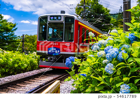 (神奈川県)箱根登山鉄道 あじさい電車 (神奈川県)箱根登山鉄道 あじさい電車 54617789