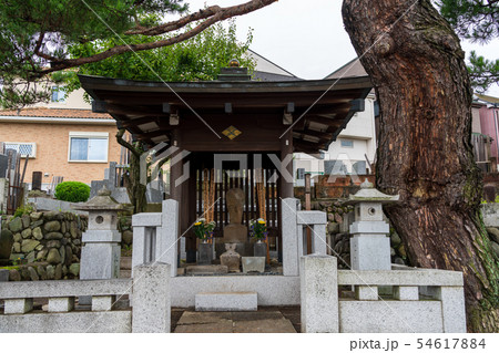 松姫の墓 八王子市指定遺跡 松姫の墓 八王子市指定遺跡 54617884