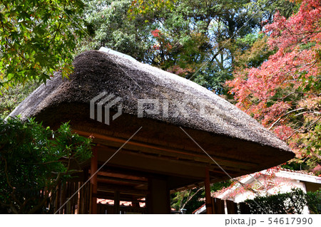 佐賀県 神埼の紅葉スポット 九年庵周辺の景観 佐賀県 神埼の紅葉スポット 九年庵周辺の景観 54617990