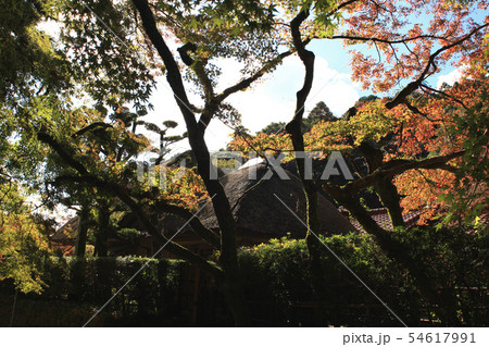 佐賀県　神埼の紅葉スポット　九年庵周辺の景観 54617991