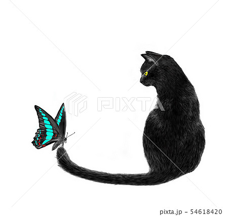 黒猫と蝶のイラストのイラスト素材