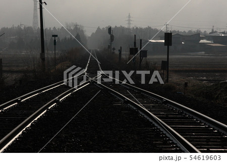 岐路に立つ 54619603