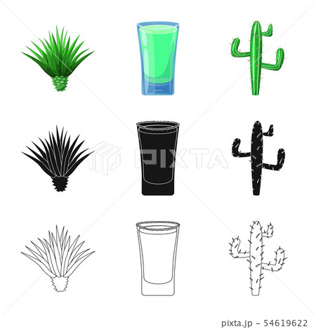 Isolated object of cafe and Latin sign. Set of cafe and national stock vector illustration. Isolated object of cafe and Latin sign. Set of cafe and national stock vector illustration. 54619622