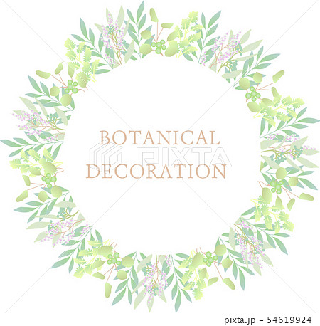 ボタニカル リース フレーム イラスト 植物 Botanical Plants Frame Greeのイラスト素材