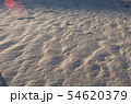 砂浜 54620379