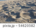 砂浜 54620382
