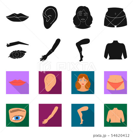 Vector design of body and part logo. Collection of body and anatomy vector icon for stock. 54620412