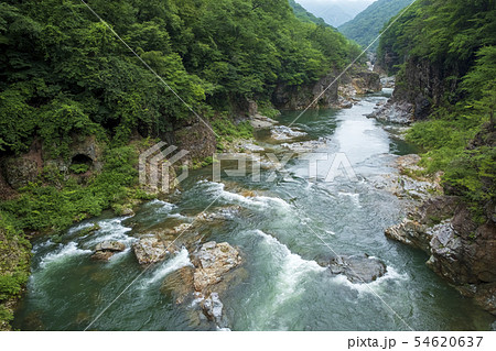 鬼怒川 龍王峡 鬼怒川 龍王峡 54620637