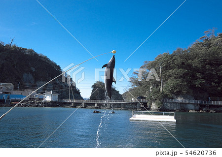 下田海中水族館　イルカショー 54620736